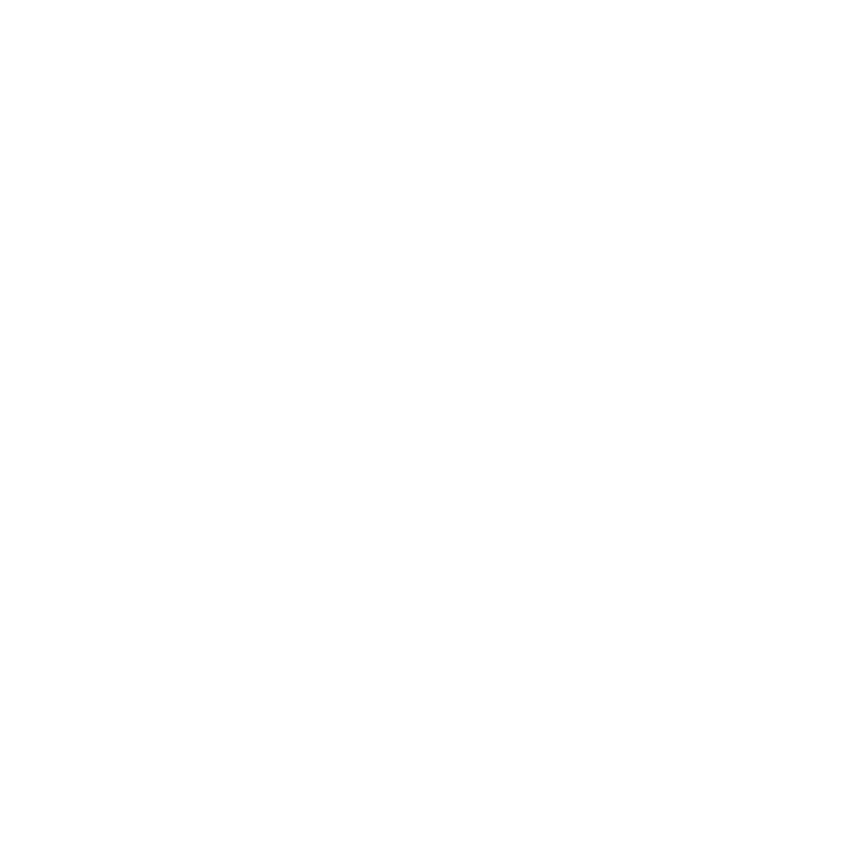 BiVi POINT